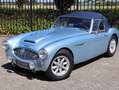 Austin-Healey 3000 MK1 BT7 Bleu - thumbnail 21
