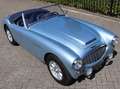 Austin-Healey 3000 MK1 BT7 Bleu - thumbnail 15