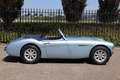 Austin-Healey 3000 MK1 BT7 Bleu - thumbnail 13