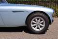 Austin-Healey 3000 MK1 BT7 Bleu - thumbnail 36