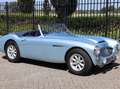 Austin-Healey 3000 MK1 BT7 Bleu - thumbnail 14