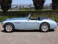 Austin-Healey 3000 MK1 BT7 Bleu - thumbnail 5