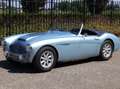 Austin-Healey 3000 MK1 BT7 Bleu - thumbnail 2