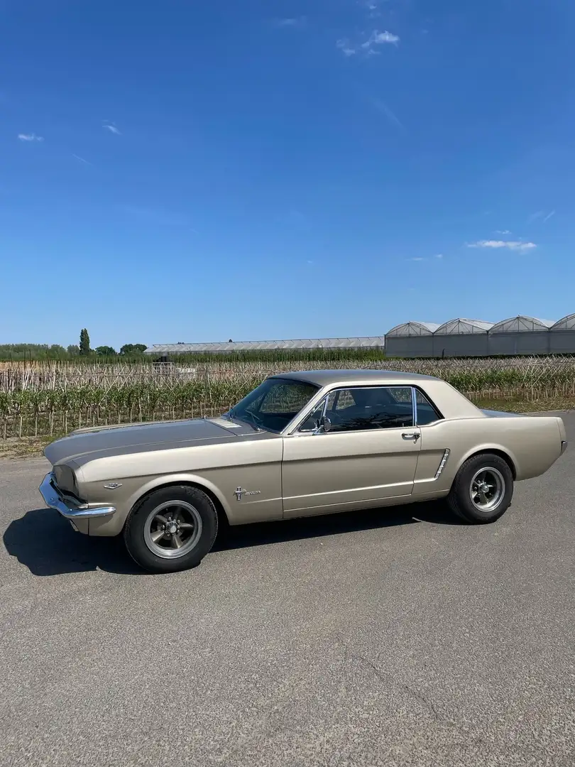 Ford Mustang coupé 289 - 1
