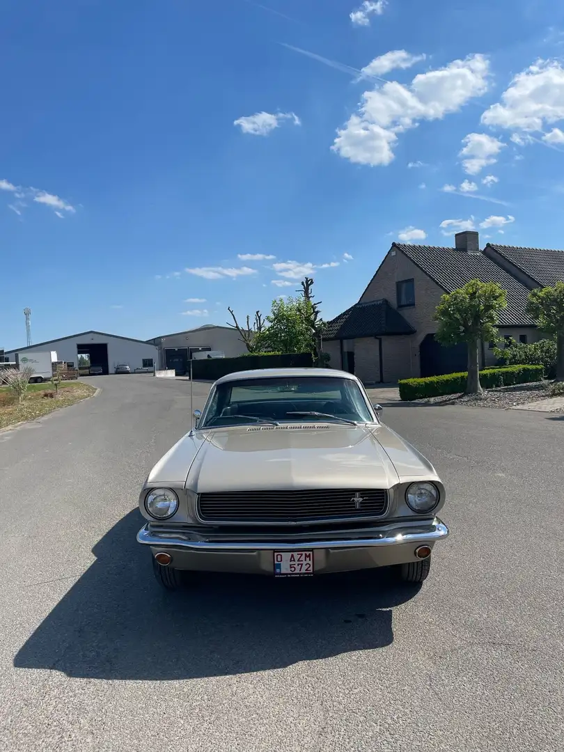 Ford Mustang coupé 289 - 2