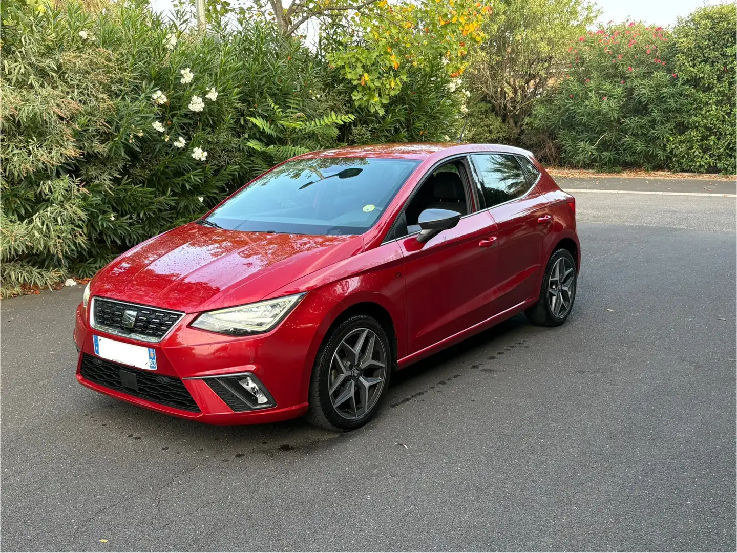 SEAT Ibiza 1.6 TDI 95 ch S/S BVM5 Xcellence - 2