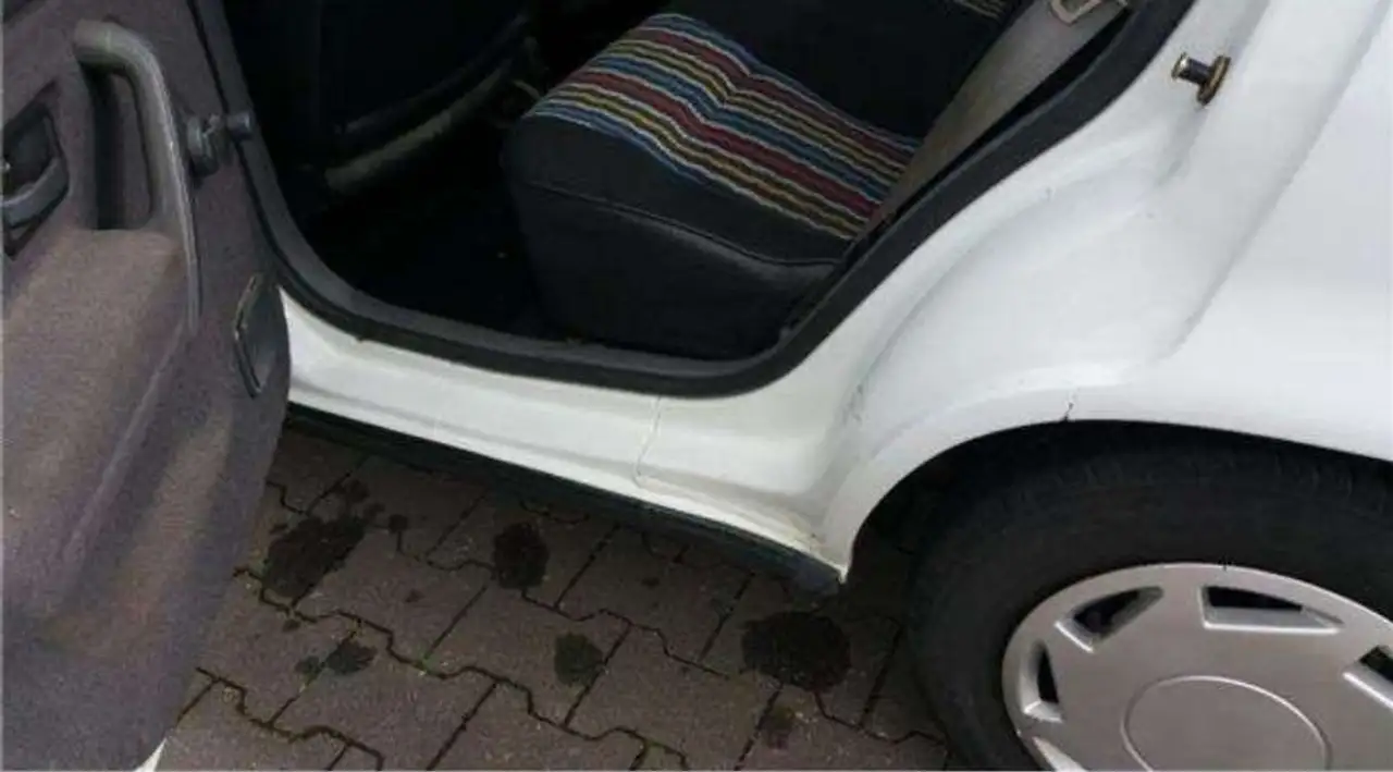 Renault R 19 Top Zustand ohne Rost( TÜV NEU ), foto 10
