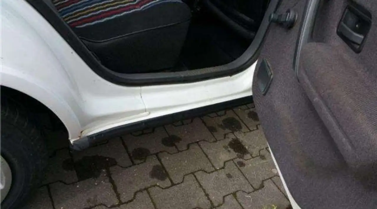 Renault R 19 Top Zustand ohne Rost( TÜV NEU ), foto 12