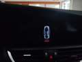 Alfa Romeo Giulia 2.2 Turbo 190cv AT8 Navi Xeno Keyless Cerchi 18” Gris - thumbnail 32