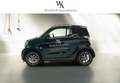 smart forTwo EQ Selected Color LED CarPlay Leder JBL Winter Grün - thumbnail 5