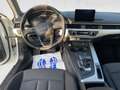 Audi A4 Avant 35 2.0 tdi Business 150cv s-tronic Bianco - thumbnail 8