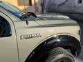 Ford F 150 Limited Texas Edition 5.0 V8 Gri - thumbnail 8