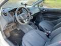 SEAT Ibiza 1.2 TDI Reference Ec 2011 Fehér - thumbnail 5