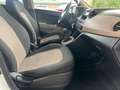 Hyundai i10 Basis 1.0 *2.Hand* TÜV Neu * Weiß - thumbnail 11