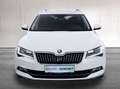 Skoda Superb 2.0  TDI Style DSG*NAVI*XENON*PDC*AHK**PANORAMA Blanc - thumbnail 29