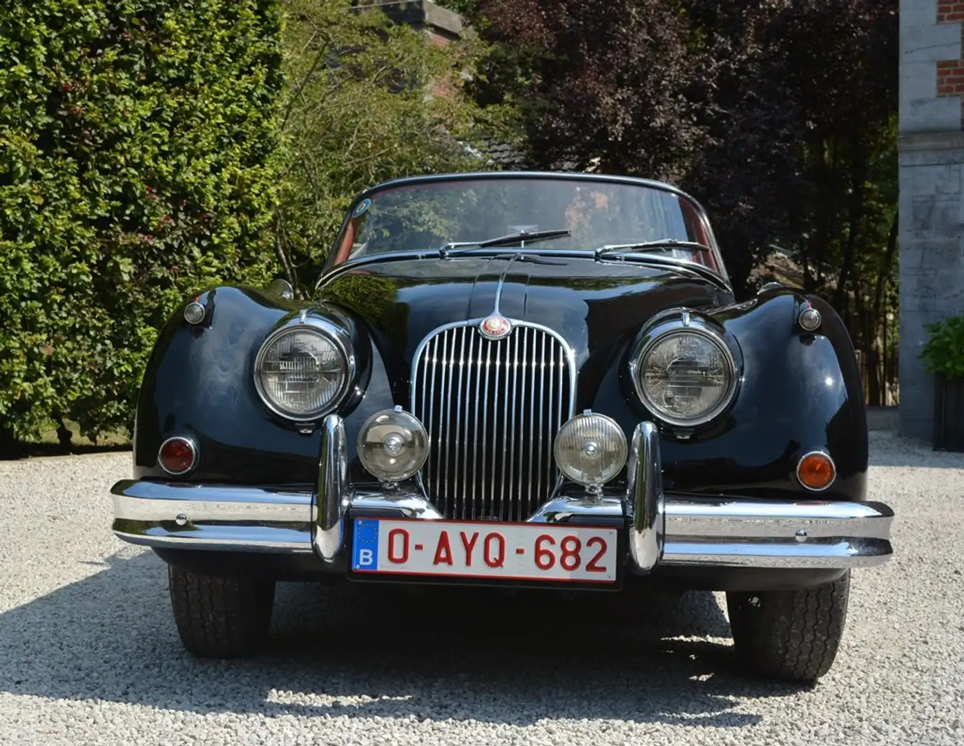 Jaguar XK 150 Noir - 2