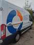 Ford Transit Transit Variobus 2,0 TDCI L2H2 350 Trend Trend Weiß - thumbnail 4