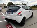 Lancia Ypsilon 1.2 69 CV GPL !! 5 POSTI+TELEFONO+VOLANTE MULTIF Blanc - thumbnail 8