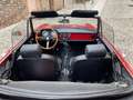 Alfa Romeo Spider Duetto coda tronca 1600 Roşu - thumbnail 5