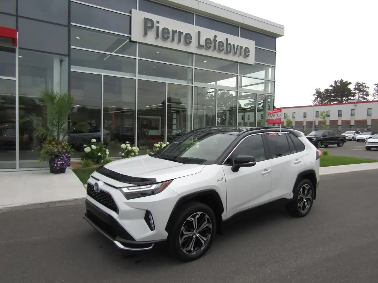 2023 Toyota RAV 4