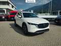 Mazda CX-5 2.2 Exclusive-Line 2wd 150cv auto Bianco - thumbnail 3