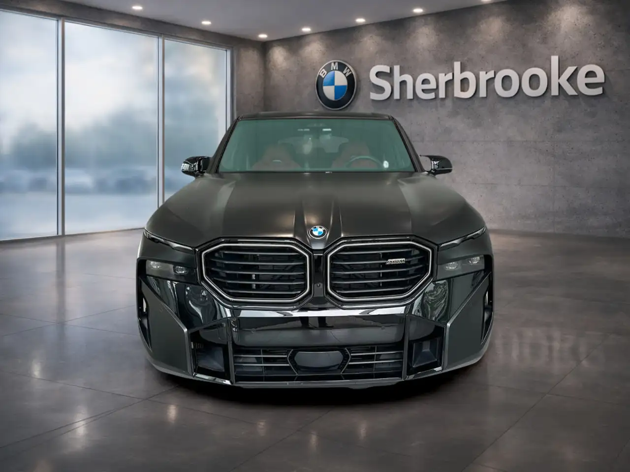 BMW XM снимка BMW XM