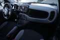 Fiat Panda FIAT Panda 1.0 FireFly S&S Hybrid Sport Unicoprop Szary - thumbnail 8