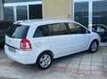 Opel Zafira Zafira 1.7 cdti Edition (enjoy) 110cv fap 7Posti!! Wit - thumbnail 7