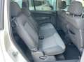 Opel Zafira Zafira 1.7 cdti Edition (enjoy) 110cv fap 7Posti!! Wit - thumbnail 12