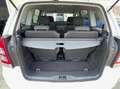 Opel Zafira Zafira 1.7 cdti Edition (enjoy) 110cv fap 7Posti!! Wit - thumbnail 23