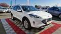 Ford Kuga 2.5 DURATEC 225 CH PHEV E-CVT TITANIUM Blanc - thumbnail 3