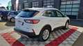 Ford Kuga 2.5 DURATEC 225 CH PHEV E-CVT TITANIUM Blanc - thumbnail 8