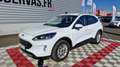 Ford Kuga 2.5 DURATEC 225 CH PHEV E-CVT TITANIUM Blanc - thumbnail 2