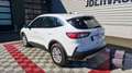 Ford Kuga 2.5 DURATEC 225 CH PHEV E-CVT TITANIUM Blanc - thumbnail 10