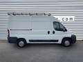 Fiat Ducato Tôlé Pack 3.0 M H2 2.0 Multijet 115 MOTEUR HS Bianco - thumbnail 5