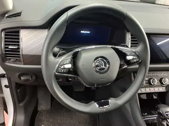 Skoda Kodiaq view 11
