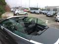 Audi A5 Cabriolet 40 TFSI advanced Matrix ACC Keyless Schwarz - thumbnail 14