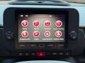 Fiat Panda La Pandina  CityCross s&s 70cv "VERDE FORESTA" +G Verde - thumbnail 12