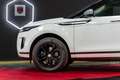 Land Rover Range Rover Evoque 2.0D I4 MHEV R-Dynamic AWD Aut. 163 Blanco - thumbnail 6
