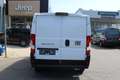 Fiat Ducato KW35 L2H1 140MT 7 Zoll Apple CarPlay Kam... Weiß - thumbnail 8