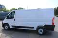 Fiat Ducato KW35 L2H1 140MT 7 Zoll Apple CarPlay Kam... Weiß - thumbnail 6