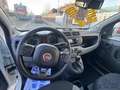 Fiat Panda Panda 1.0 FireFly S&S Hybrid City Life Weiß - thumbnail 11