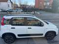 Fiat Panda Panda 1.0 FireFly S&S Hybrid City Life Weiß - thumbnail 6