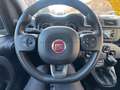 Fiat Panda Panda 1.0 FireFly S&S Hybrid City Life Weiß - thumbnail 4