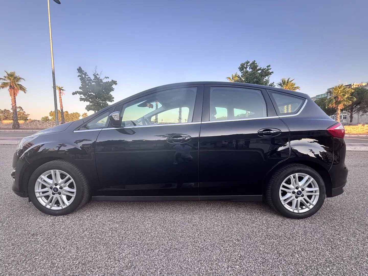 Ford C-Max 1.6 tdci Titanium 115cv dpf - 2