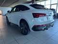 Audi Q5 SPB 40 TDI quattro S tronic S line plus Bianco - thumbnail 4