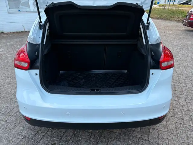 Ford Focus view 14