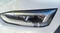 Audi A5 2.0 TDI 140kW (190CV) S tronic Sportback Bianco - thumbnail 8