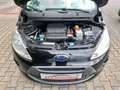 Ford Ka/Ka+ Titanium / Gepflegt /Zahnriemen gewechselt Schwarz - thumbnail 12