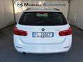 BMW 316 d Touring Business Advantage Bianco - thumbnail 12
